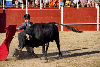 Fotogalería Festival Taurino en Otero de Herreros 49 Fotografía: Miguel Angel Fernández