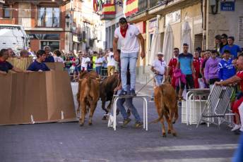 Fotogalería Fiestas en Honor a la Inmaculada Concepción en Cantimpalos 25 Fotografía: Miguel Angel Fernández