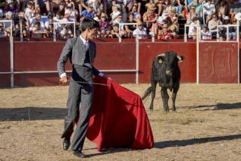 Fotogalería Festival Taurino en Otero de Herreros 31 Fotografía: Miguel Angel Fernández