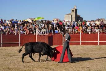 Fotogalería Festival Taurino en Otero de Herreros 24 Fotografía: Miguel Angel Fernández