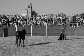 Fotogalería Festival Taurino en Otero de Herreros 104 Fotografía: Miguel Angel Fernández
