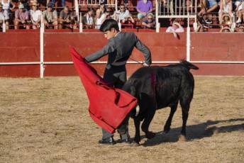 Fotogalería Festival Taurino en Otero de Herreros 83 Fotografía: Miguel Angel Fernández
