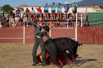Fotogalería Festival Taurino en Otero de Herreros 70 Fotografía: Miguel Angel Fernández