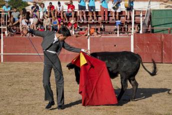 Fotogalería Festival Taurino en Otero de Herreros 101 Fotografía: Miguel Angel Fernández