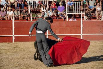 Fotogalería Festival Taurino en Otero de Herreros 30 Fotografía: Miguel Angel Fernández
