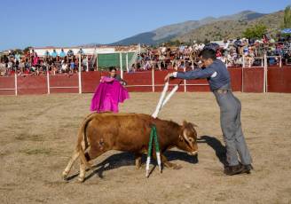 Fotogalería Festival Taurino en Otero de Herreros 79 Fotografía: Miguel Angel Fernández