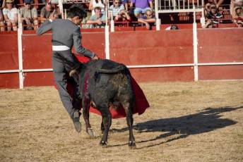 Fotogalería Festival Taurino en Otero de Herreros 41 Fotografía: Miguel Angel Fernández