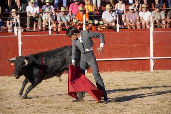 Fotogalería Festival Taurino en Otero de Herreros 85 Fotografía: Miguel Angel Fernández