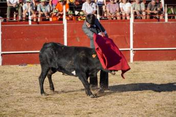 Fotogalería Festival Taurino en Otero de Herreros 103 Fotografía: Miguel Angel Fernández