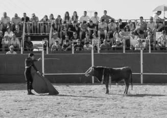 Fotogalería Festival Taurino en Otero de Herreros 56 Fotografía: Miguel Angel Fernández