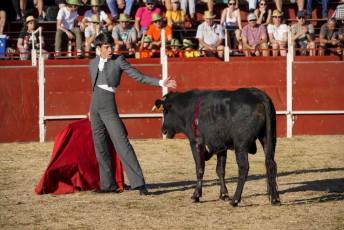 Fotogalería Festival Taurino en Otero de Herreros 13 Fotografía: Miguel Angel Fernández