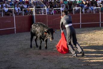 Fotogalería Festival Taurino en Otero de Herreros 4 Fotografía: Miguel Angel Fernández