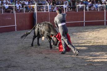 Fotogalería Festival Taurino en Otero de Herreros 18 Fotografía: Miguel Angel Fernández