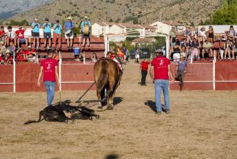 Fotogalería Festival Taurino en Otero de Herreros 84 Fotografía: Miguel Angel Fernández