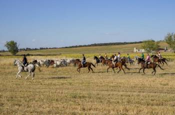 Fotogalería Encierro Tradicional en Sangarcía 5 Fotografía: Miguel Angel Fernández