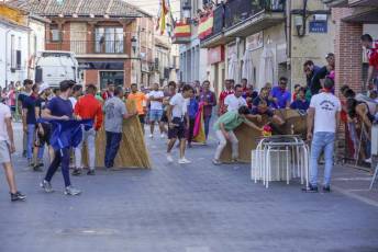Fotogalería Fiestas en Honor a la Inmaculada Concepción en Cantimpalos 47 Fotografía: Miguel Angel Fernández