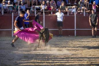 Fotogalería Festival Taurino en Otero de Herreros 87 Fotografía: Miguel Angel Fernández