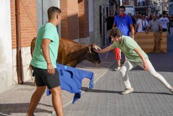 Fotogalería Fiestas en Honor a la Inmaculada Concepción en Cantimpalos 11 Fotografía: Miguel Angel Fernández