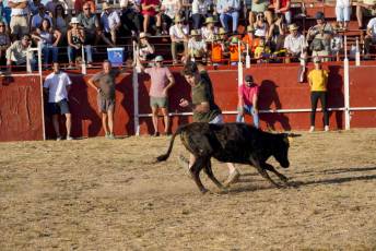 Fotogalería Festival Taurino en Otero de Herreros 43 Fotografía: Miguel Angel Fernández