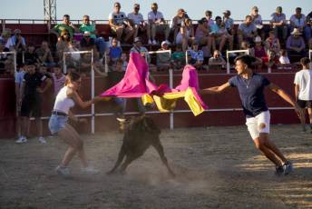 Fotogalería Festival Taurino en Otero de Herreros 64 Fotografía: Miguel Angel Fernández