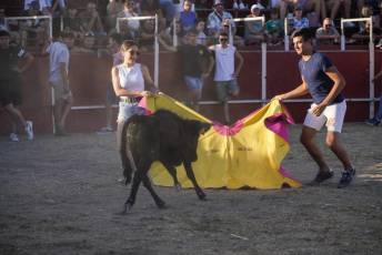 Fotogalería Festival Taurino en Otero de Herreros 8 Fotografía: Miguel Angel Fernández