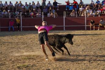 Fotogalería Festival Taurino en Otero de Herreros 93 Fotografía: Miguel Angel Fernández