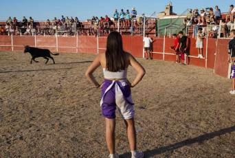 Fotogalería Festival Taurino en Otero de Herreros 45 Fotografía: Miguel Angel Fernández