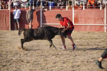 Fotogalería Festival Taurino en Otero de Herreros 107 Fotografía: Miguel Angel Fernández
