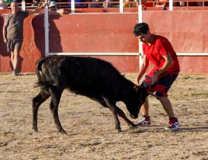 Fotogalería Festival Taurino en Otero de Herreros 16 Fotografía: Miguel Angel Fernández