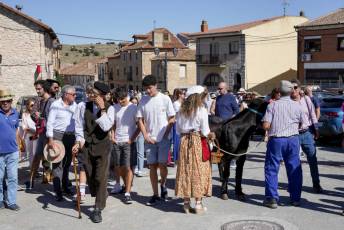 Fotogalería XII Edición día del Calero en Vegas de Matute 19 Fotografía: Miguel Angel Fernández