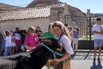 Fotogalería XII Edición día del Calero en Vegas de Matute 24 Fotografía: Miguel Angel Fernández