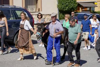 Fotogalería XII Edición día del Calero en Vegas de Matute 38 Fotografía: Miguel Angel Fernández