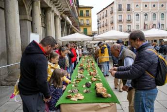 Fotogalería 25 de Octubre Fiestas San Frutos 33 Exposición Micológica Plaza Mayor
