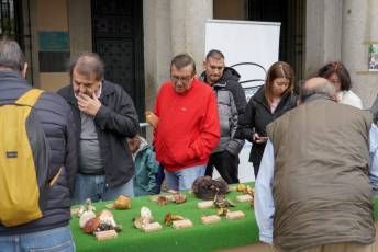 Fotogalería 25 de Octubre Fiestas San Frutos 31 Exposición Micológica Plaza Mayor