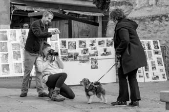Fotogalería XXVIII Concurso de Perros y Gatos 37 XVIII Concurso de Perros y Gatos