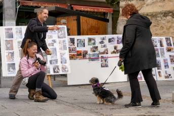 Fotogalería XXVIII Concurso de Perros y Gatos 61 XVIII Concurso de Perros y Gatos