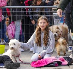 Fotogalería XXVIII Concurso de Perros y Gatos 49 XVIII Concurso de Perros y Gatos