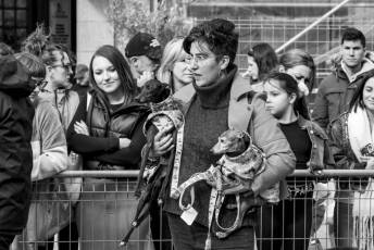 Fotogalería XXVIII Concurso de Perros y Gatos 29 XVIII Concurso de Perros y Gatos