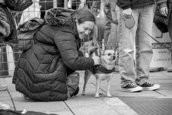 Fotogalería XXVIII Concurso de Perros y Gatos 43 XVIII Concurso de Perros y Gatos