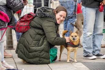 Fotogalería XXVIII Concurso de Perros y Gatos 6 XVIII Concurso de Perros y Gatos