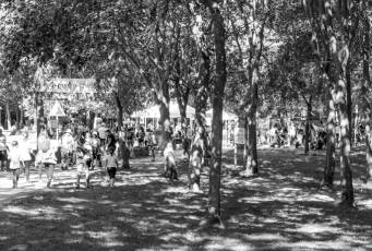Fotogalería 41 Edición Marcha APADEFIM 50 Fotografía: Miguel Angel Fernández