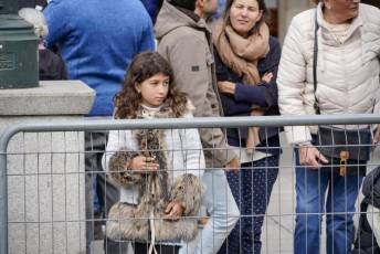 Fotogalería XXVIII Concurso de Perros y Gatos 2 XVIII Concurso de Perros y Gatos