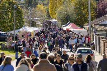 Fotogalería 52ª Edición Feria del Ganado en Navafría 22 Feria del Ganado en Navafría
