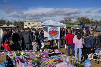Fotogalería 52ª Edición Feria del Ganado en Navafría 12 Feria del Ganado en Navafría