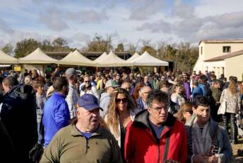 Fotogalería 52ª Edición Feria del Ganado en Navafría 30 Feria del Ganado en Navafría