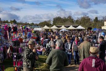 Fotogalería 52ª Edición Feria del Ganado en Navafría 17 Feria del Ganado en Navafría