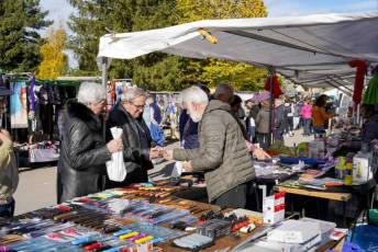 Fotogalería 52ª Edición Feria del Ganado en Navafría 28 Feria del Ganado en Navafría