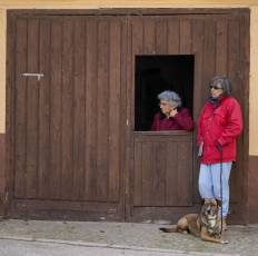 Fotogalería XI Carrera Pedestre "Entre Viñedos" en Cabañas de Polendos 58 Carreras Pedestres Entre Viñedos en Cabañas de Polendos