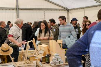 Fotogalería 52ª Edición Feria del Ganado en Navafría 3 Feria del Ganado en Navafría