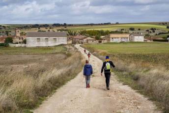 Fotogalería XI Carrera Pedestre "Entre Viñedos" en Cabañas de Polendos 81 Carreras Pedestres Entre Viñedos en Cabañas de Polendos